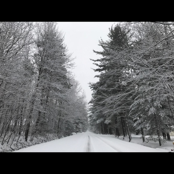 Meet your Posher, Ines - Picture 5 of 5